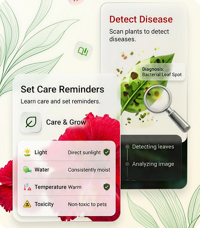 Plantily Interface 2