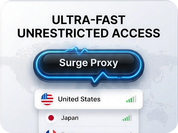 Surge VPN Interface 1